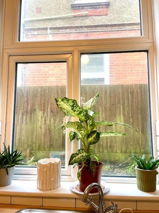 Cosy Ground Floor Apartment Bexhill-on-Sea